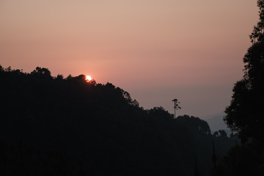 A clear sunrise in the cloud forest.There is a rhythm to the weather in Central America. A searing heat enforces a daily siesta along its coasts; the drone of animals in the jungle fades, the relentless equatorial sun thickens the air with the ocean’s vapour, and sweat beads on skin even as one rests. A wind, always arriving from the open sea, exhales inland; its breath riding the contours of the land up, and up, and up, to the peaks of the highlands. Here, vapour becomes visible again in the coolness of higher elevation and newborn clouds infinitely roll over lofty peaks. Accruing en masse as the day continues on, the clouds become heavy and water droplets coalesce on the leaves of thirsty plants; creating a special rain that scatters down from the thick canopy high above every late afternoon with a certain regularity. The sun leaves the sky, drops of water continue to fall, and come morning the atmosphere is quiet once more - seemingly waiting for its cue to play its part in the performance once again.