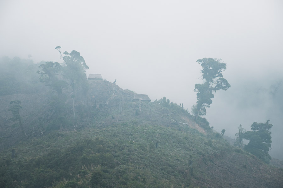 Displaced from traditional lands by the colonial Spaniards, Mayans have been pushed into the highlands. To feed themselves, they plant sustenance crops on the slopes of mountains, but unfortunately their staple crops are not successful at higher elevation. As a matter of survival, they clear more and more land in the efforts to grow enough, but this has disastrous effects, as cloud forest ecosystems disappear. These unique high-altitude forests are both the lungs of the land and the source of water upon which all of Central America depends, with their impact filtering down to the lower elevations.