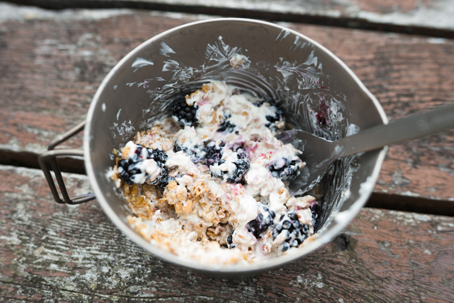 Wild blackberries make a nice addition to any breakfast, and they’re plentiful along certain sections of road here. Foraging for the win.