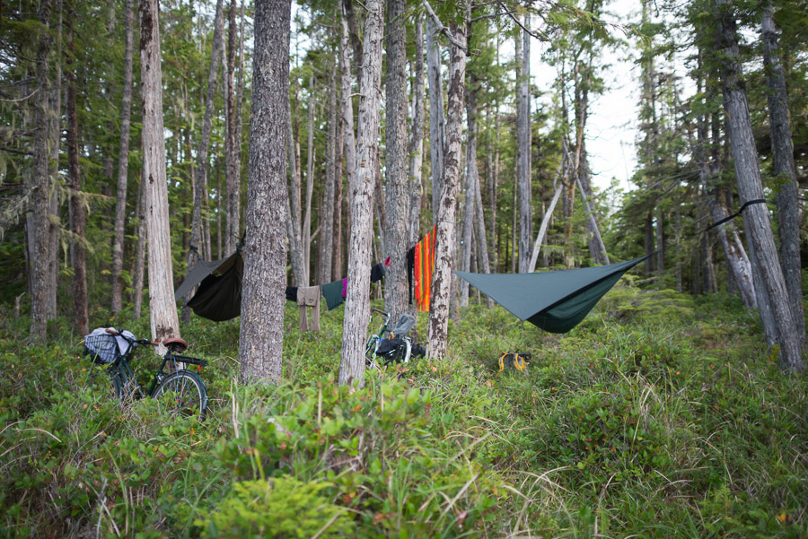 Wildcamping is so much simpler with hammocks. With a couple of properly spaced trees, you eliminate the need for clear and even ground.