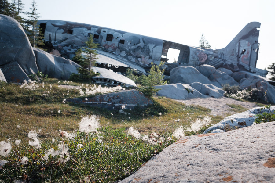 Even Miss Piggy - a plane wreck not too far from the town of Churchill - received its first paint job since being grounded in 1979. Fluffy, late season White Mountain Avens dot the landscape&rsquo;s foreground as a short summer rolls onward to autumn.