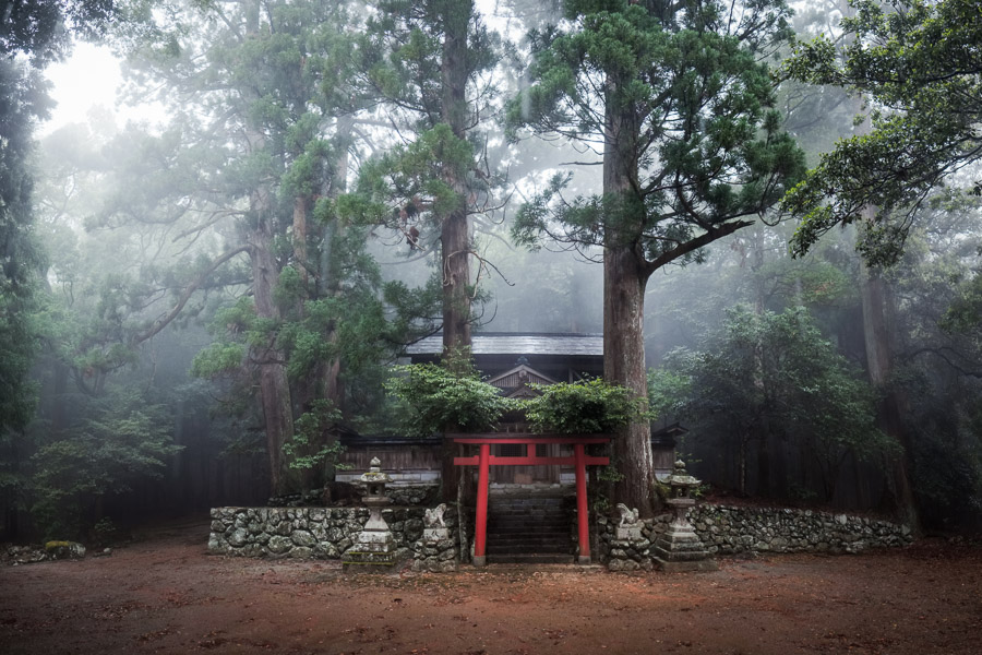 &hellip;but its roots spread wide to shrines that dot the countryside. Misty mountain abodes such as this see very few visitors each year, yet they continue to be cared for by local townships - never forgotten. They are also islands of old growth amidst second growth replanted after cyclic forestry has moved through the valleys.