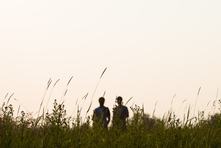 Sunset silhouettes in the prairie fields.