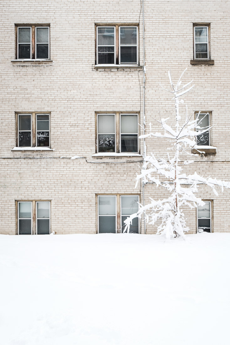Neighbours in the neighbourhood.
