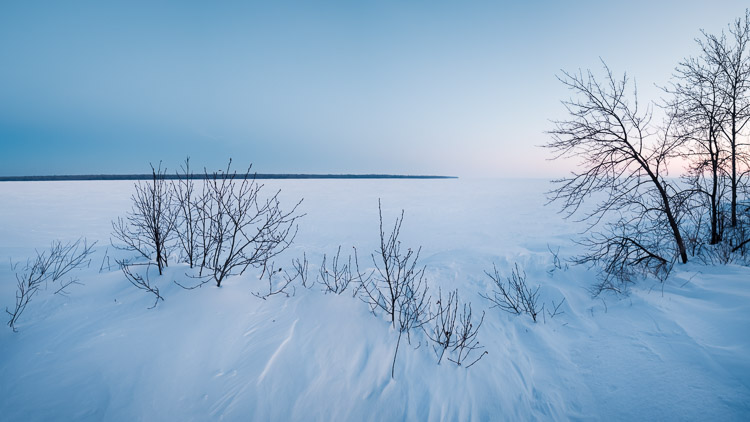 Windswept snowdrifts and bare shrubs along the frozen shore of Lake Winnipeg at dusk, under a pale blue sky