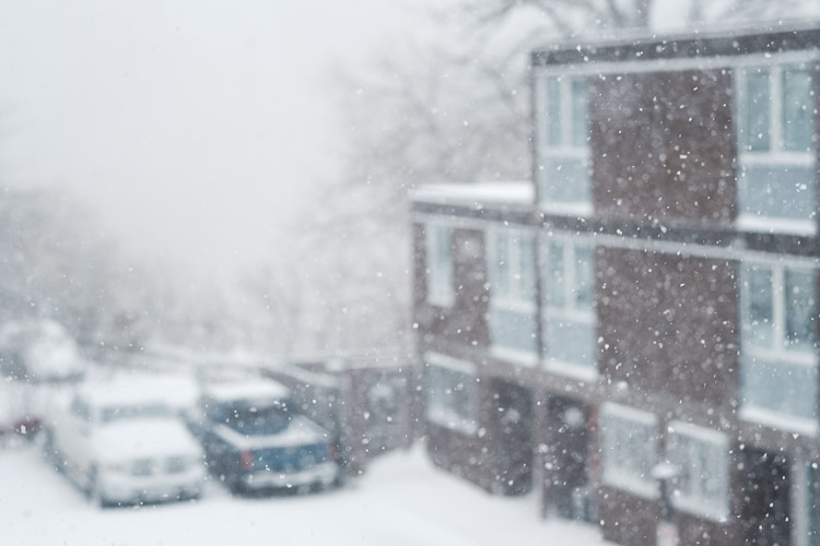Thick snow falling over parked cars and a brick apartment block, softening the city into white