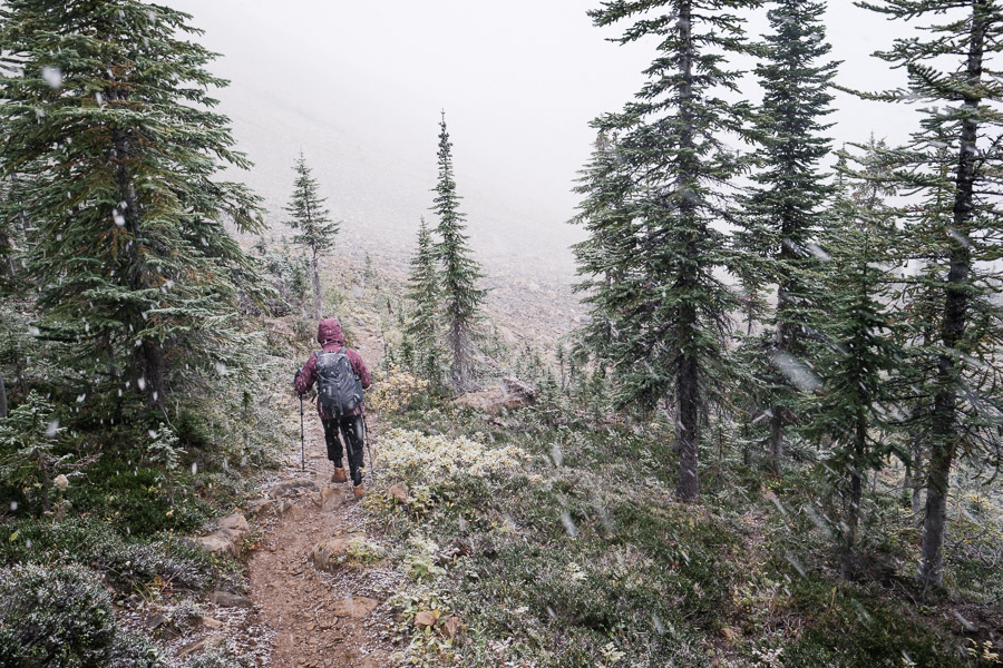 A hiker with backpack and poles descends a subalpine trail between spruce trees as snow falls into a whiteout