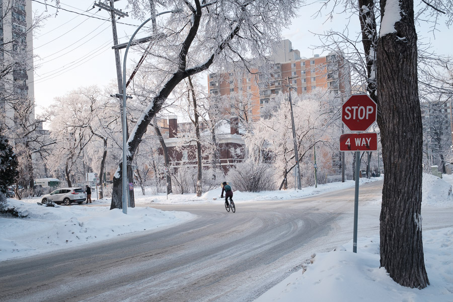 A cyclist rounds a snowy four-way stop on a frosty Winnipeg street, apartment blocks and frosted elms behind