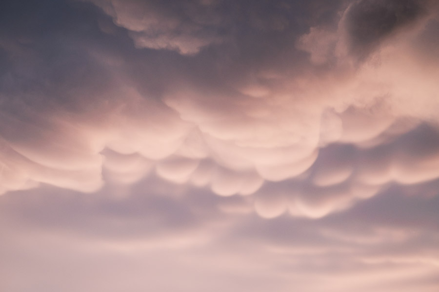 Pouch-like mammatus clouds glowing pink and lavender after the storm at sunset