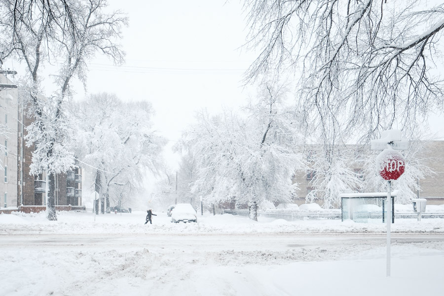 A heavy snowfall coating trees and a stop sign at a Winnipeg intersection as a lone figure crosses the white street