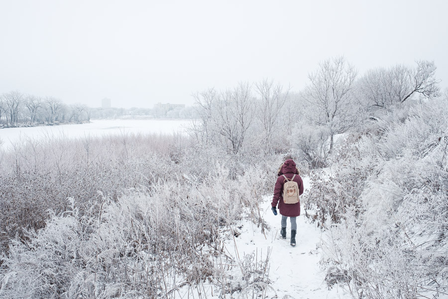 A person in a wine-red parka and canvas backpack walks a snowy trail through hoarfrosted brush along the riverbank