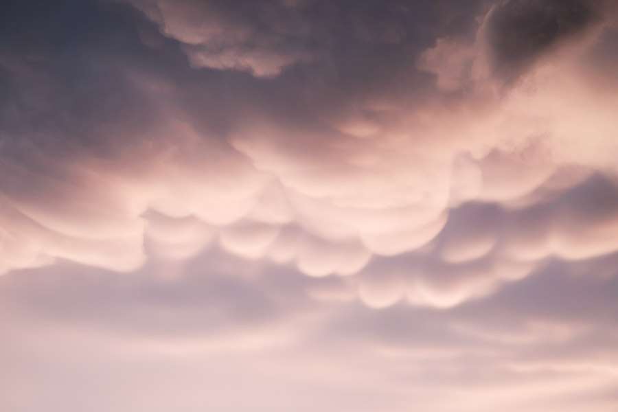 Pink-lit mammatus clouds hanging in soft pouches beneath a storm at sunset