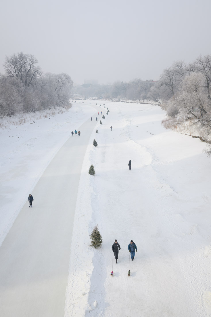 Dozens of walkers, skaters, and dogs spread along the frozen river trail between hoarfrosted banks in winter haze